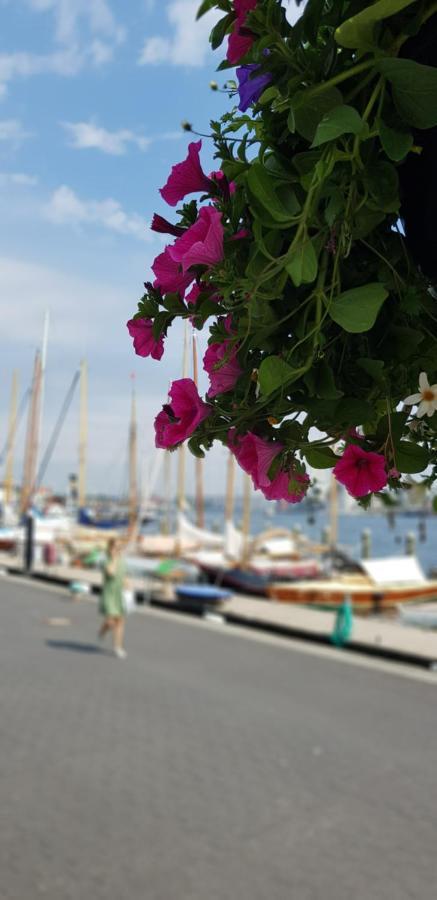 Strandkoje Flensburg Kültér fotó